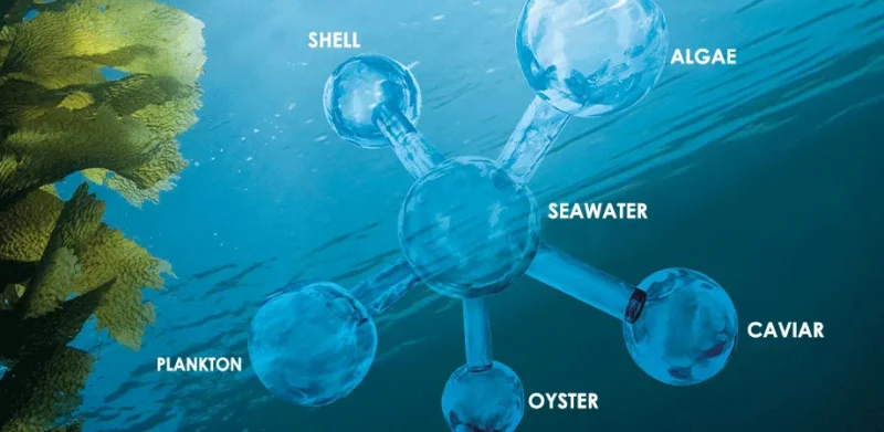 Tehnologia marină DALTON S.E.A. cu extract Celumer Marine, alge, plancton, caviar și minerale marine pentru regenerarea și protecția pielii