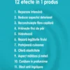 12 beneficii pentru Set-urile Panorama Professional Bond Plex pentru par deteriorat si procesat, cu Ulei de Argan, Jojoba, Arbore de Ceai si Canepa, 12 in 1