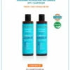 Set 2 sampoane anti-deteriorare Panorama Professional Anti Damage