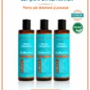 Set de 3 sampone Panorama Professional Bond Plex pentru par deteriorat si procesat, cu Ulei de Argan, Jojoba, Arbore de Ceai si Canepa, 12 in 1