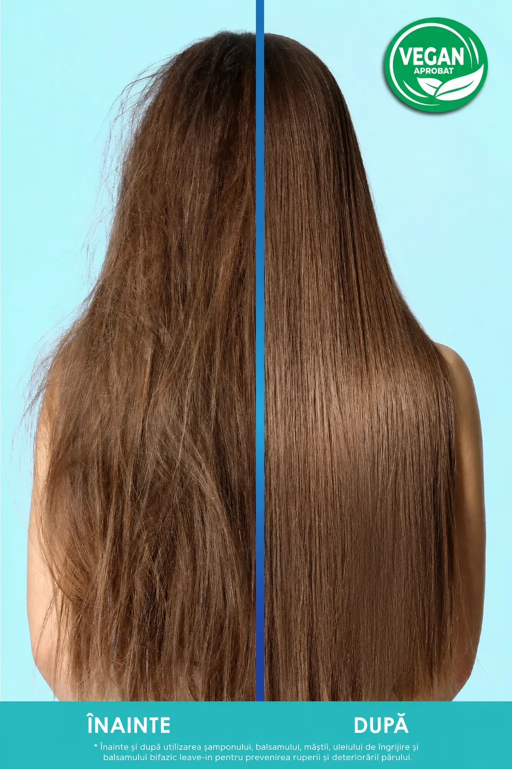 Gama Anti Damage de la Panorama Professional befor and after