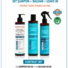 Set sampon balsam si balsam leave-in anti-deteriorare Panorama Professional Anti Damage