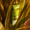 produs crema hidratanta hydro alga deep hydration dalton ocean elements